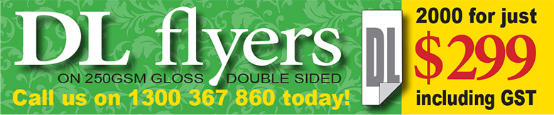 DLFlyer DLFlyer